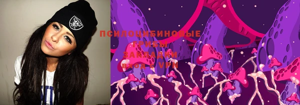 дурь Краснослободск