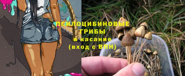 PSILOCYBIN Верхний Тагил