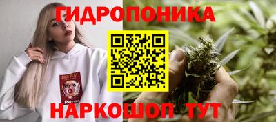сатива Волжский