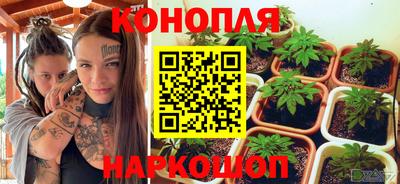 сатива Волжский