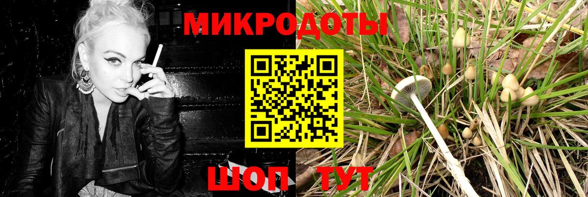 Галлюциногенные грибы Psilocybe Малоярославец