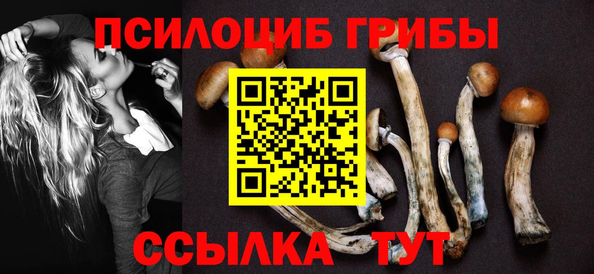 Малоярославец  Псилоцибиновые грибы мицелий  Вход с VPN  дарнет шоп  Псилоцибиновые грибы MAGIC MUSHROOMS 