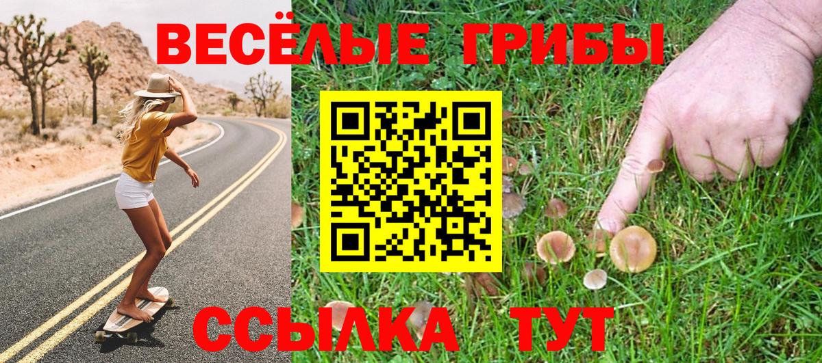 Галлюциногенные грибы ЛСД Малоярославец