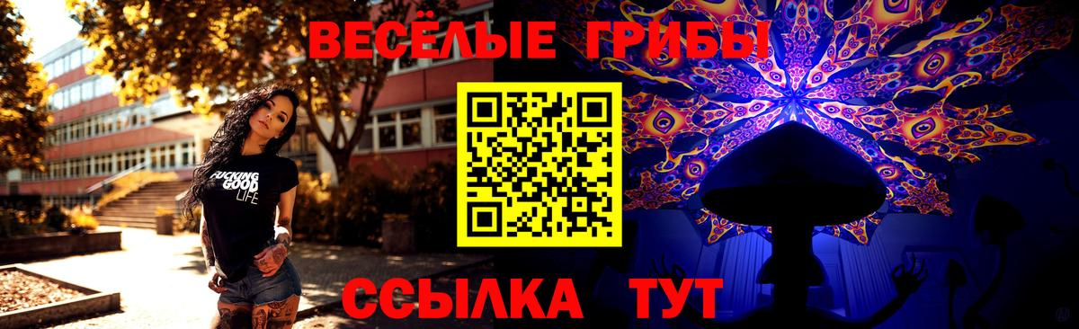 NBOMe Малоярославец